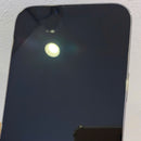 iPhone 13 Pro Max 256GB Silver 98% ĐBH pin 100% Quốc tế từ SB (Không dùng sim SB) (Đã thay pin - Có trầy - đốm 3x) - HH5415