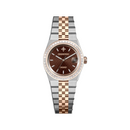 Jam tangan mekanis pria Alexander Ferros 8181 