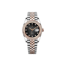 Jam tangan mekanik wanita Alexander Ferros 8201D 