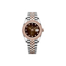 Jam tangan kuarsa wanita Alexander Ferros 8222 