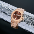 Jam tangan kuarsa wanita Alexander Ferros 6152R 