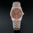 Jam tangan mekanis pria Alexander Ferros 8181 