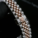 Jam tangan mekanik wanita Alexander Ferros 8201D 