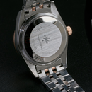 Jam tangan mekanik wanita Alexander Ferros 8201D 