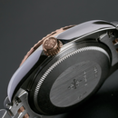 Jam tangan mekanik wanita Alexander Ferros 8201D 