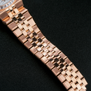 Jam tangan mekanis pria Alexander Ferros 8181 