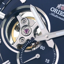 Jam Tangan Mekanik Orient Small Seconds RN-AR0002L 
