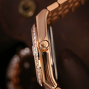 Jam tangan mekanis pria Alexander Ferros 8181 