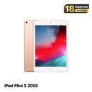 iPad Mini 5 7.8" 64GB Emas Wifi 98% baterai 88% Versi Apple Internasional (bingkai penyok) 