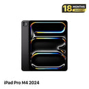 iPad Pro M4 2024 11 inci 256GB Perak Wifi 98% baterai 96% 