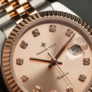 Jam tangan kuarsa wanita Alexander Ferros 8222 