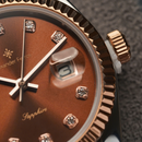 Jam tangan kuarsa wanita Alexander Ferros 8222 