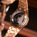 Jam tangan kuarsa wanita Alexander Ferros 6152R 