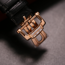 Jam tangan mekanik pria Alexander Ferros 6091R 