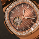Jam tangan mekanik pria Alexander Ferros 6091R 